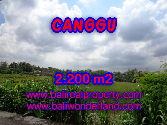 JUAL TANAH DI CANGGU Bali 2,200 m2 di Tumbak Bayuh