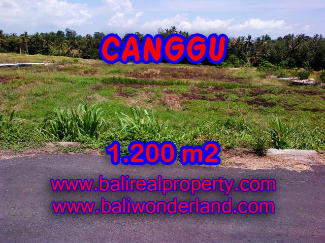 JUAL TANAH DI CANGGU Bali 1,200 m2 di Tumbak Bayuh