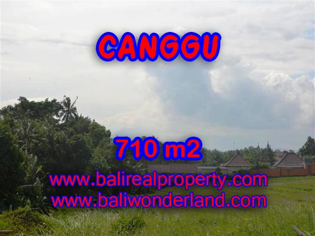 Tanah dijual di Bali 710 m2 view sawah dan sungai di Canggu Brawa