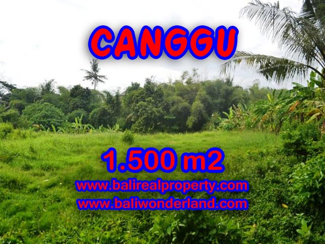 Jual tanah di Canggu Bali 1,500 m2 dekat sungai di Canggu pererenan