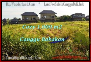 TANAH DIJUAL di CANGGU 10 Are View sawah link villa